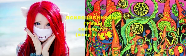 прущий лед Бронницы